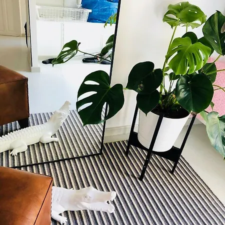 White Loft Apartamento *